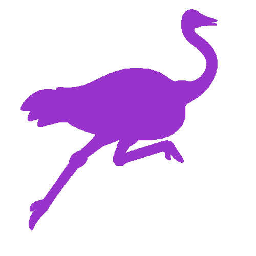 Nostrich – das Nostr-Maskottchen